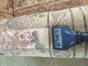 upholstery cleaning ann arbor mi